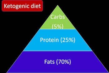 Ketogenic diet contains 70% fats, 25% protein and 5% carbs. 