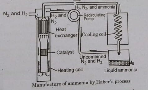 Haber's process for the production of ammonia includes equations, conditions, and processes.
It is used in commercial production of ammonia