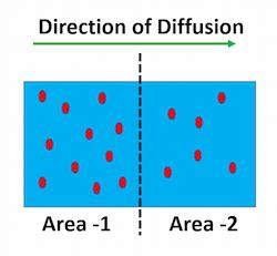 the difference in the concentration of a substance between two areas is called the concentration gradient.