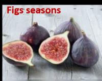 Fig fruit types are black mission, brown turkey, tiger and calimyrna. 