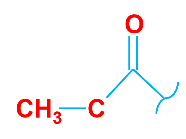 the acetyl group is a combination of the carbonyl group and a methyl group. The carbonyl group comprises a carbon atom double-bonded to an oxygen atom.