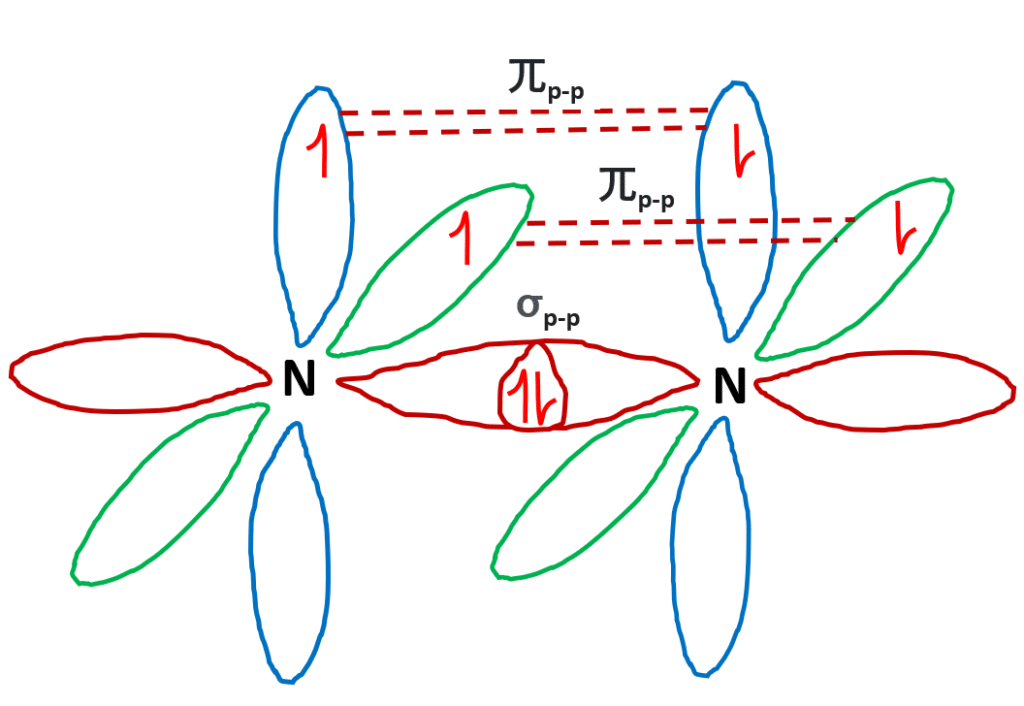 The hybridization structure of the nitrogen molecule shows that two 2p orbital overlaps mutually to form a sigma bond and two 2p orbitals overlap sideways to form a pi bond.