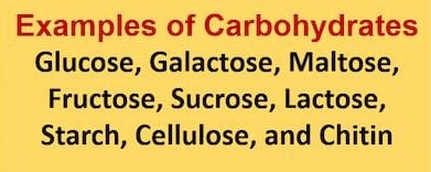 examples of carbohydrates are Glucose, Galactose, Maltose, Fructose, Sucrose, Lactose, Starch, Cellulose, and Chitin.