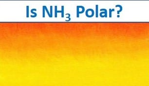 is nh3 polar molecule