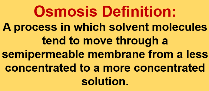 osmosis is defined as a process in which a solvent molecule tends to move through a semipermeable membrane from a less concentrated to a more concentrated solution.