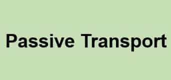 What is the definition of passive transport explain with examples