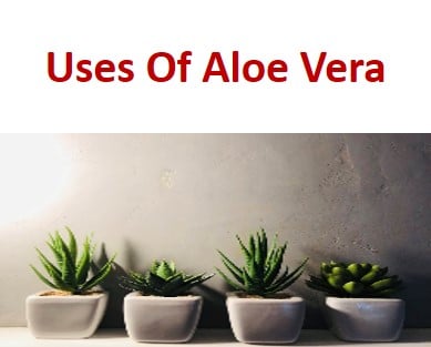 What are the uses of aloe vera with references