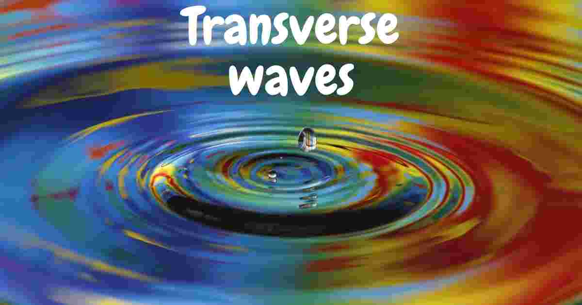 what are transverse waves