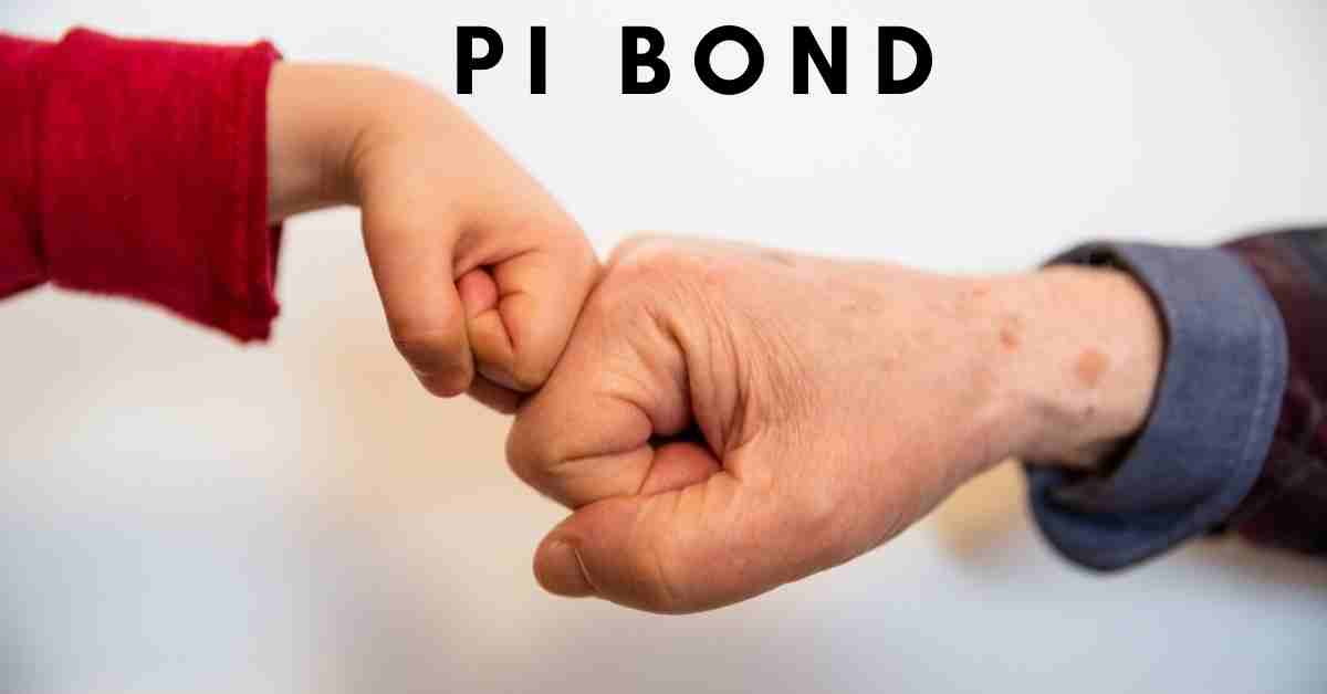 definition of pi bond