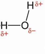 single bond in water molecule