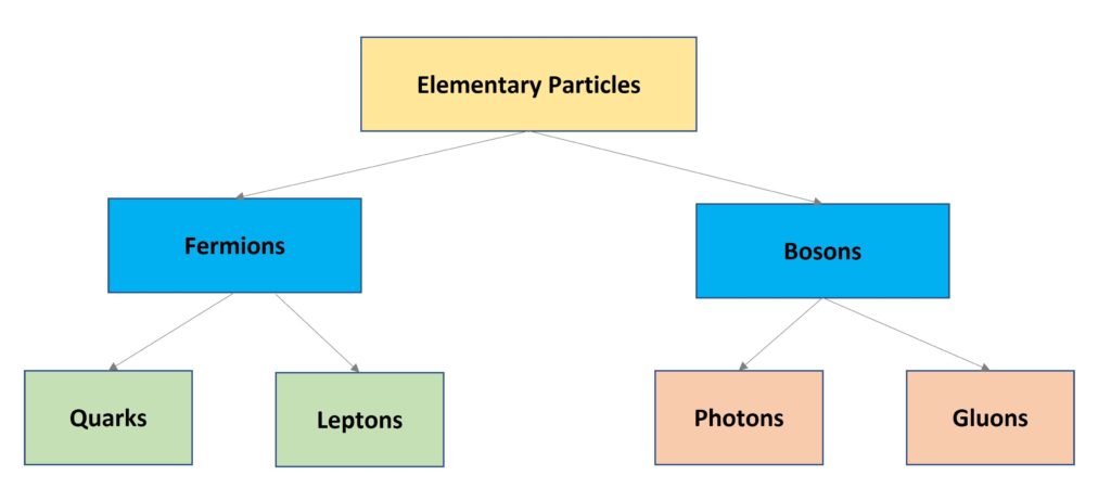There are two main categories of elementary particles: fermions and bosons.
