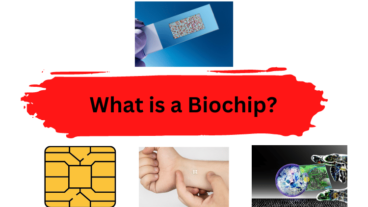what is biochip