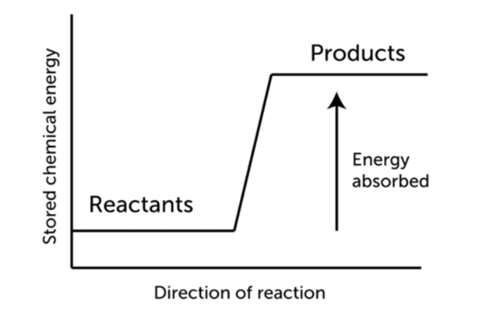 direction of reaction of endothermic reaction, stored chemical energy diagram of endothermic reaction, energy release diagram of endothermic reaction. 