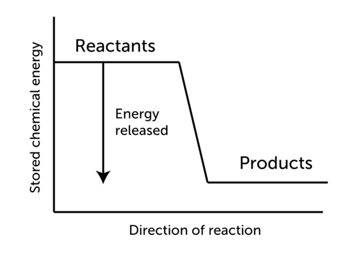 direction of reaction of exothermic reaction, stored chemical energy diagram of exothermic reaction, energy release diagram of exothermic reaction. 