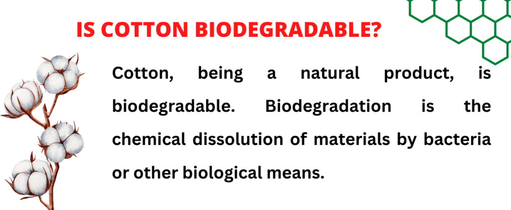 Is Cotton Biodegradable?
Is cotton a biodegradable polymer?
What fabric is biodegradable?
Is cotton biodegradable in water?
