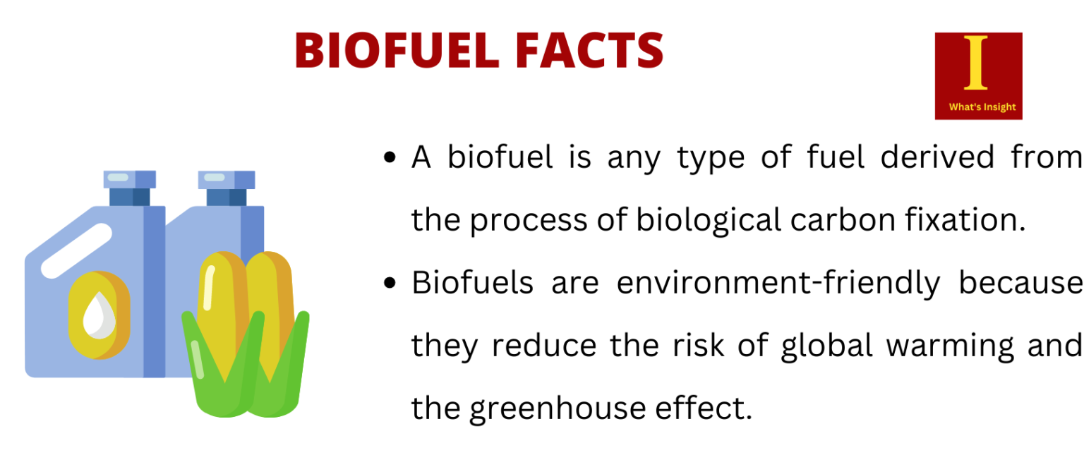 essay on importance of biofuel