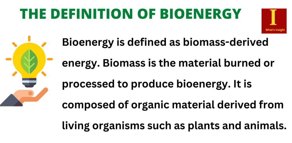 Bioenergy refers to electricity and gas that is generated from biomass (organic matter).
What is an example of bioenergy?

