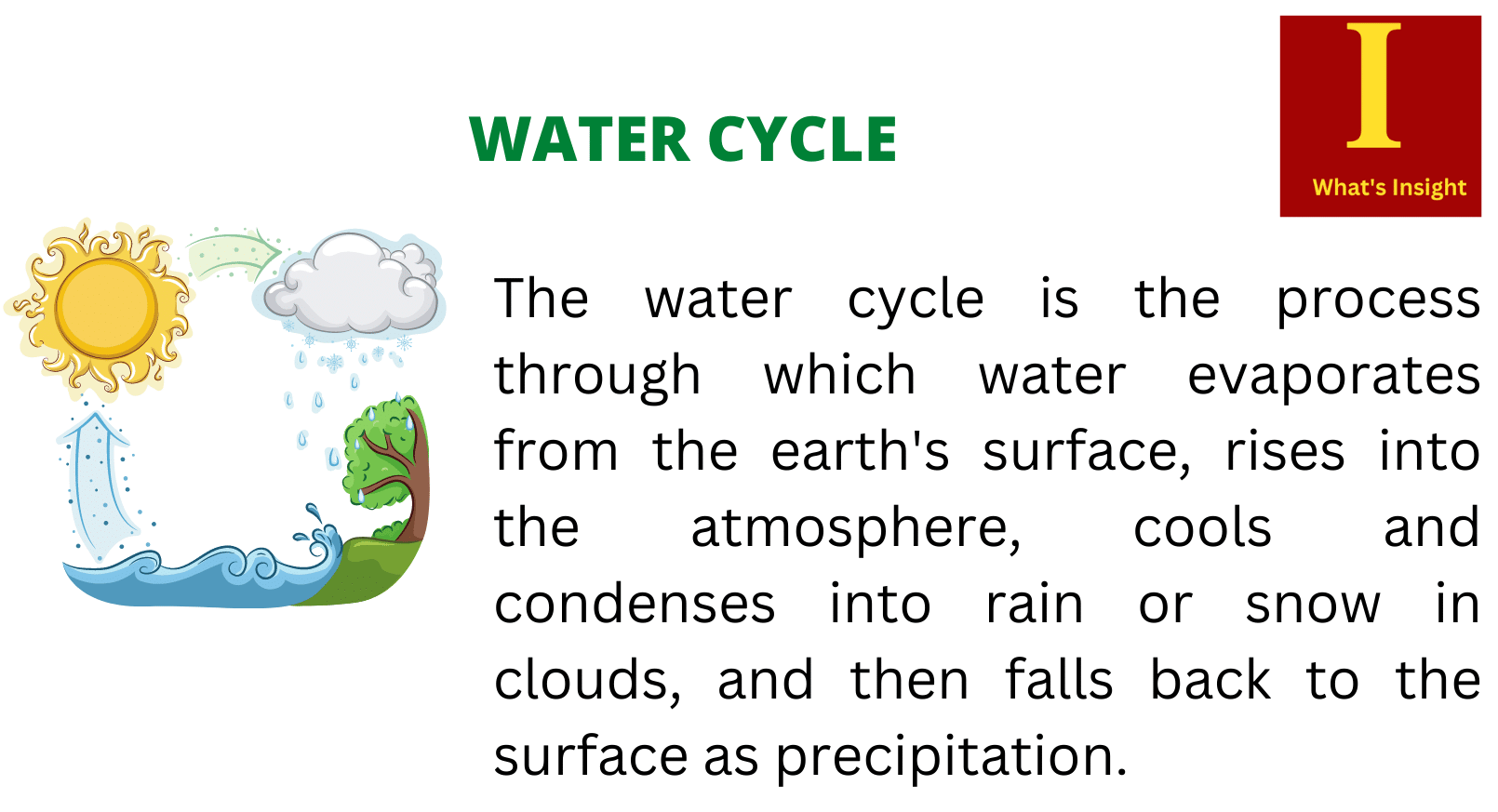 explanation text water cycle